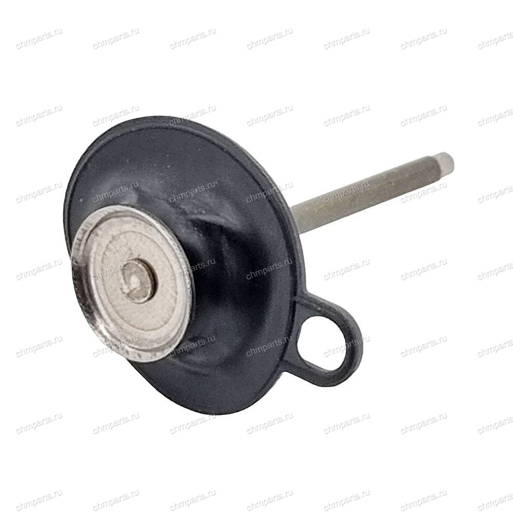 Plunger